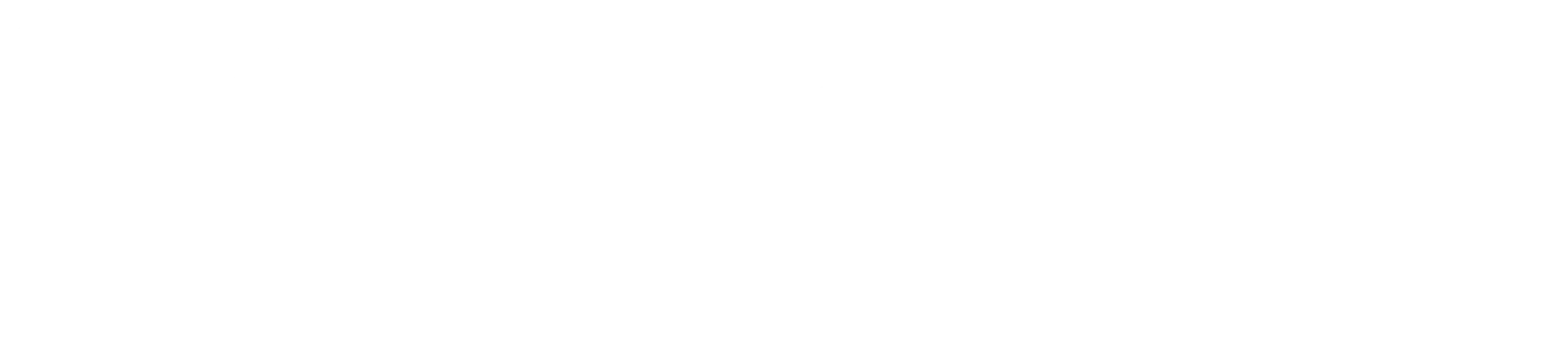 anka alanya grup png logo